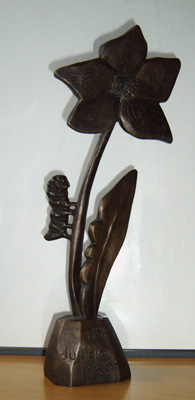 MEDION DIGITAL CAMERA