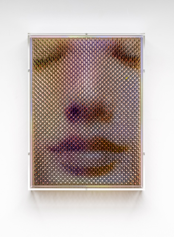 Maxim Wakultschik-I-love-thee-with-the-passion-put-to-use_2026 Optical Portrait 35 x 26 cm front